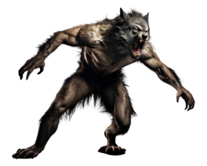 PNG Werewolf mammal animal white background. 