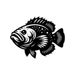 fish predator logo design. goliath logo design inspiration