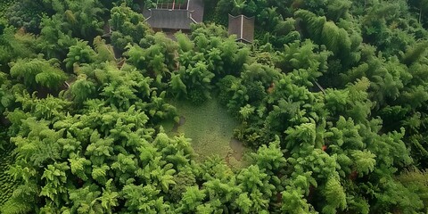 In the forest, sunshine fall the land, bright light, wide angle view, delicate details, generated with AI