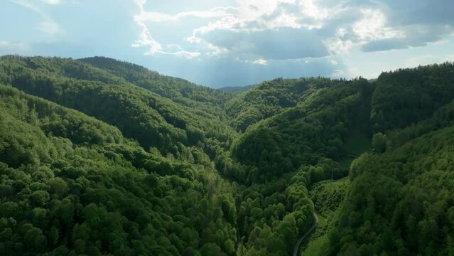 Aerial forward flying footage of the Devil's Valley in the Central Slovakia. Drone is flying above soe beutiful fresh looking forest area. LuPa Creative.