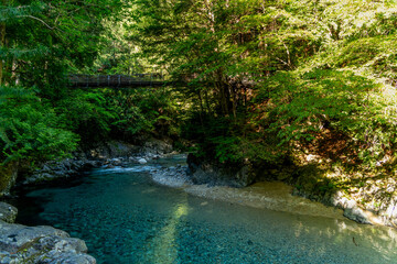 吊り橋がかかる美しい渓谷