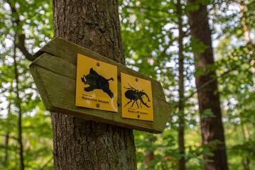Wanderschilder Baunach Kemmern (Landkreis Bamberg, Bayern, Deutschland)