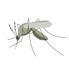 Small mosquito insect. Illustration in flat, simple, cartoon style