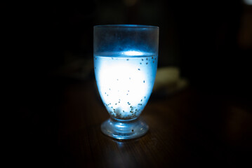 日本の広島の大久野島（うさぎの島）のウミホタルが刺激を与えられ光っている