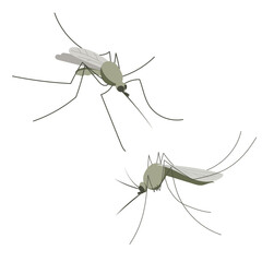 Small mosquito insect. Illustration in flat, simple, cartoon style