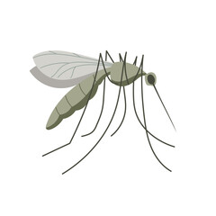 Small mosquito insect. Illustration in flat, simple, cartoon style
