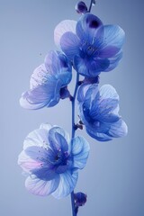 Close Up of a Blue Flower on a Stem