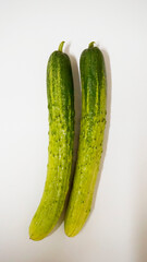 오이 식재료 채소 사진 음식 재료 FOOD 먹거리 CUCUMBER