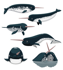 Cute Narwhal Whale Dolphin Poses Set Cartoon Vector © bullet_chained