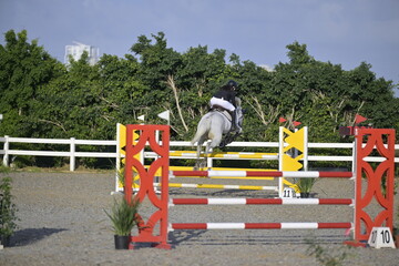 The rider on horse jumping over a hurdle during the equestrian