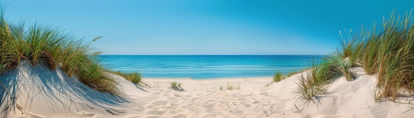 A panoramic view of a sandy beach with sand dunes, tufts of grass, and a clear, deep blue ocean stretching to the horizon, with copy space.