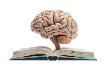 A human brain growing from the pages of an open book, symbolizing knowledge and learning.