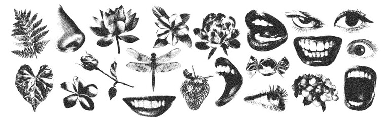 Mouth in scream, crazy eyes, flowers, dragonfly with retro photocopy stipple effect, for grunge punk y2k collage design. Vector illustration in vintage halftone brutalist design for banner or poster
