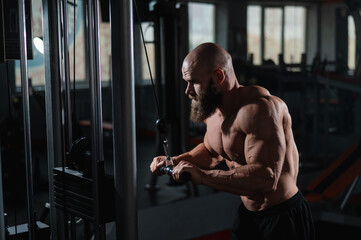 Bald Caucasian Bodybuilder doing heavy triceps exercises with cable. 