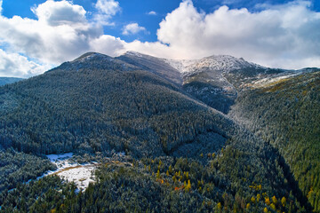 Naklejka premium First snow fell on autumn forest, cold storm under yellow foliage.