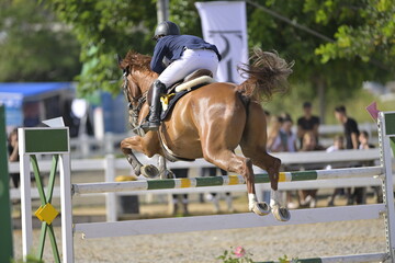 The rider on horse jumping over a hurdle during the equestrian