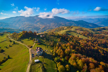 Aerial drone view over autumn forest. Colorful trees in the wood. Autumn forest aerial drone view. Autumn background, aerial drone view of beautiful forest landscape with autumn trees from above.