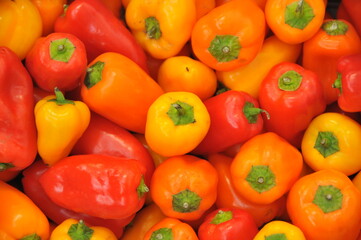 Mini poivrons colorés