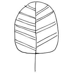 Vector black and white illustration of tree sketch isolated on white background