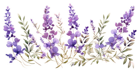 PNG Lavender flowers blossom purple plant. AI generated Image by rawpixel.