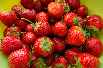 śiweże czerwone truskawki