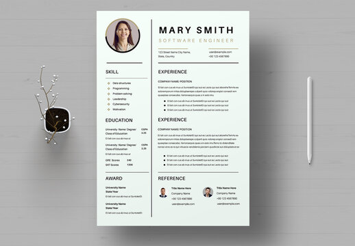 Professional Resume Template