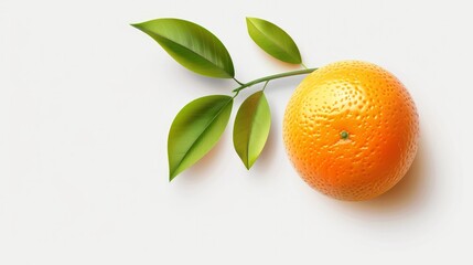 A whole orange citrus fruit isolated on a white background, with a clipping path.

