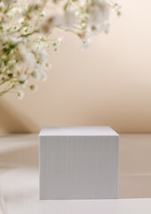 Empty geometric podium with beautiful flower sunlight shadows. Aesthetic showcase for cosmetic and product presentation