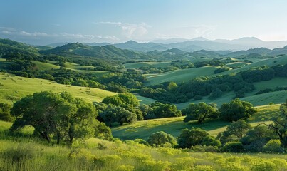 Obraz premium An expansive view of rolling hills covered in dense, green foliage stretches into the distance. The scene's open, clear areas provide a natural and serene.