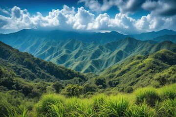 Obraz premium landscape in summer