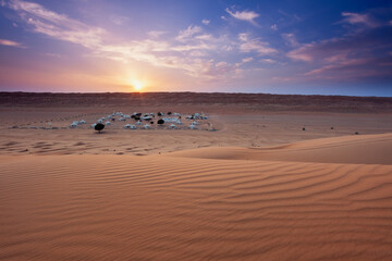 Wüstencamp im Oman zum Sonnenuntergang