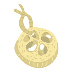 Natural loofah washcloth with a textured fibrous surface in light color with a rope. Washcloth is a natural and eco-friendly alternative to synthetic sponges. Environmental illustration, no plastic