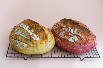 Two loafs of sourdough bread. One is a classic tartine, the other is a fancy pink bread with purple sweet potato powder.