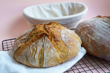 Artisan loaf of traditional Homemade sourdough Boule bread with crust on a white towel