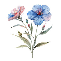 Vintage watercolor blue flower and wildflowers isolated on white background, old botanical illustration