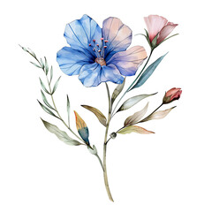 Vintage watercolor blue flower and wildflowers isolated on white background, old botanical illustration