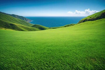 Fototapeta premium grass and sky