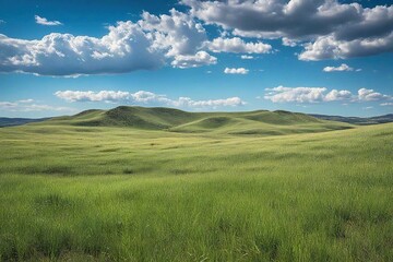 Fototapeta premium landscape with mountains