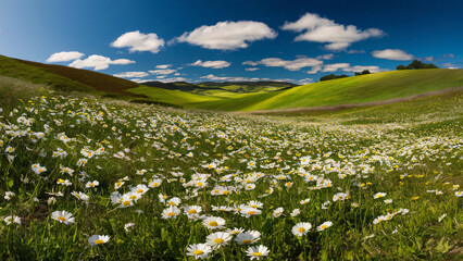 A colorful overflowing basket spills out a bounty of fresh fruits