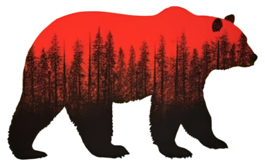 PNG Bear mammal animal representation.