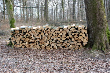 Holz, Struktur, Holzstruktur,  Hintergrund, Texture