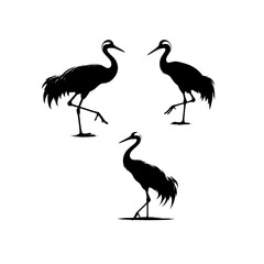 vector set of a crane bird standing on one foot. black silhouette of a heron isolated on white background.