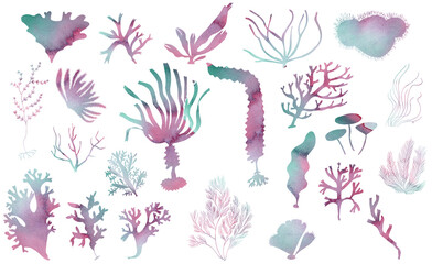 Ensemble coraux colorés dessin sans contour