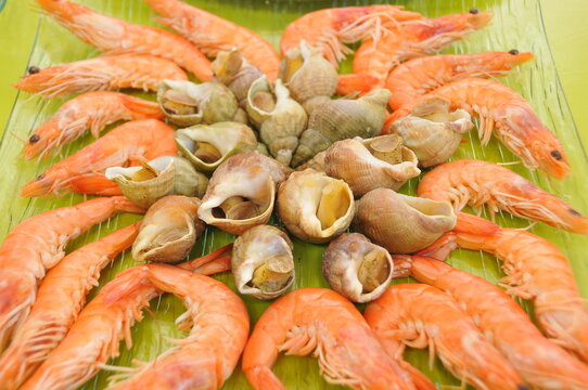 Plateau de fruits de mer
