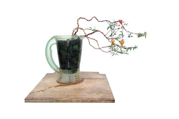 Fototapeta premium Unripe Pomegranate.Pomegranate tree in unused container pot.