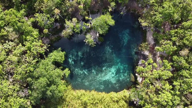 Cenote paradise&rsquo;s heart in the middle of the nature in Tulum, Mexico. Romantic concept in the middle of the nature. Clear water so you can see the depth. Empty cenote , no a single person on it