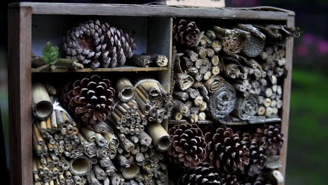 Insect hotel made with pieces of cane and bark, ecology and environmental protection.

