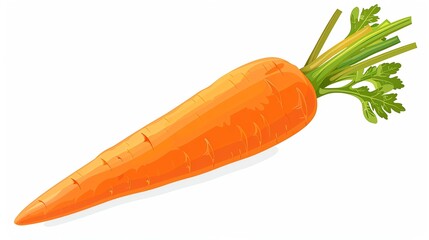 A whole, orange carrot with a green top, flat design, on white plain background