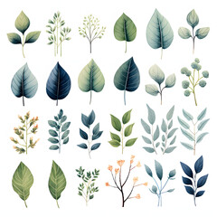 set of Variegated foliage leaves, plants, leaves and branches. illustrations of beautiful realistic flowers for background, pattern or wedding invitations