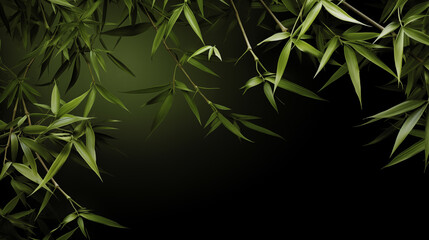 A close up of green bamboo leaves. The leaves are very thin and long. The image is of a dark background